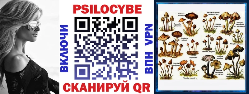 Галлюциногенные грибы MAGIC MUSHROOMS  блэк спрут ТОР  Ардатов  купить закладку 